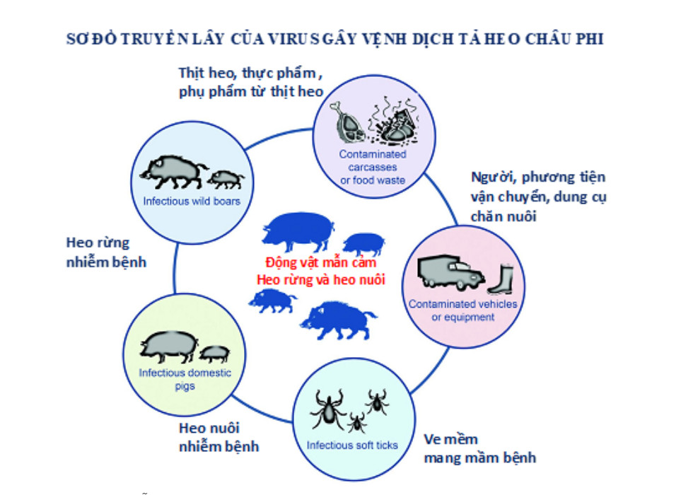 dịch tả lợn Châu Phi