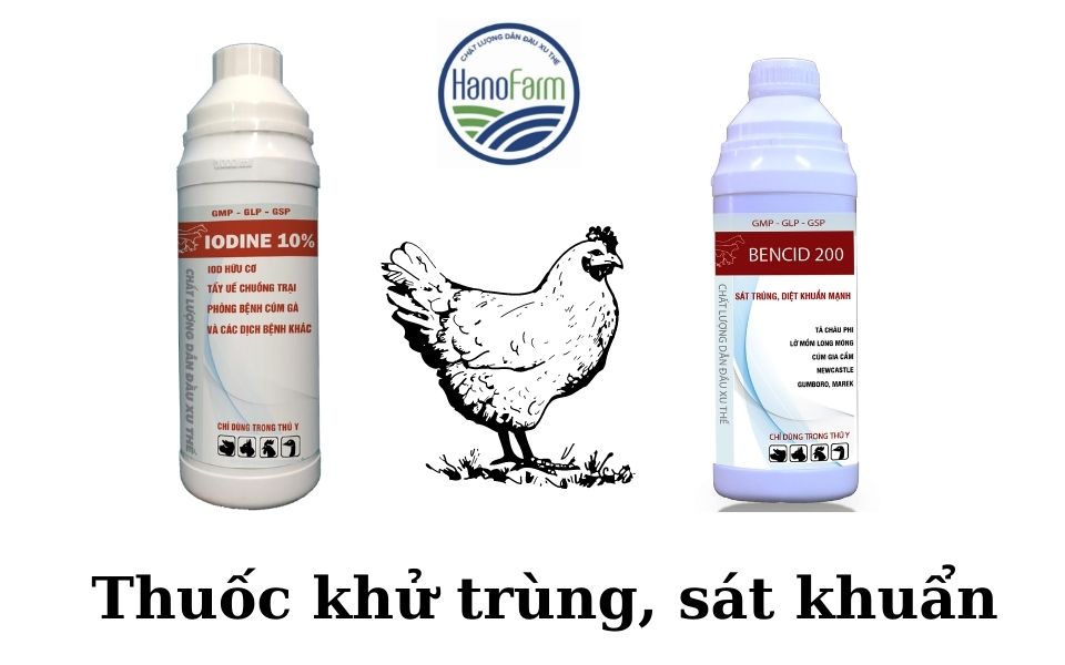 thuốc khủ trùng cho bênh cúm gia cầm ở gà