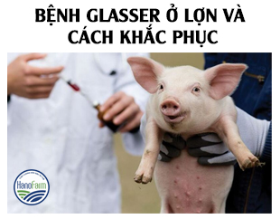 benh-glasser-o-lon