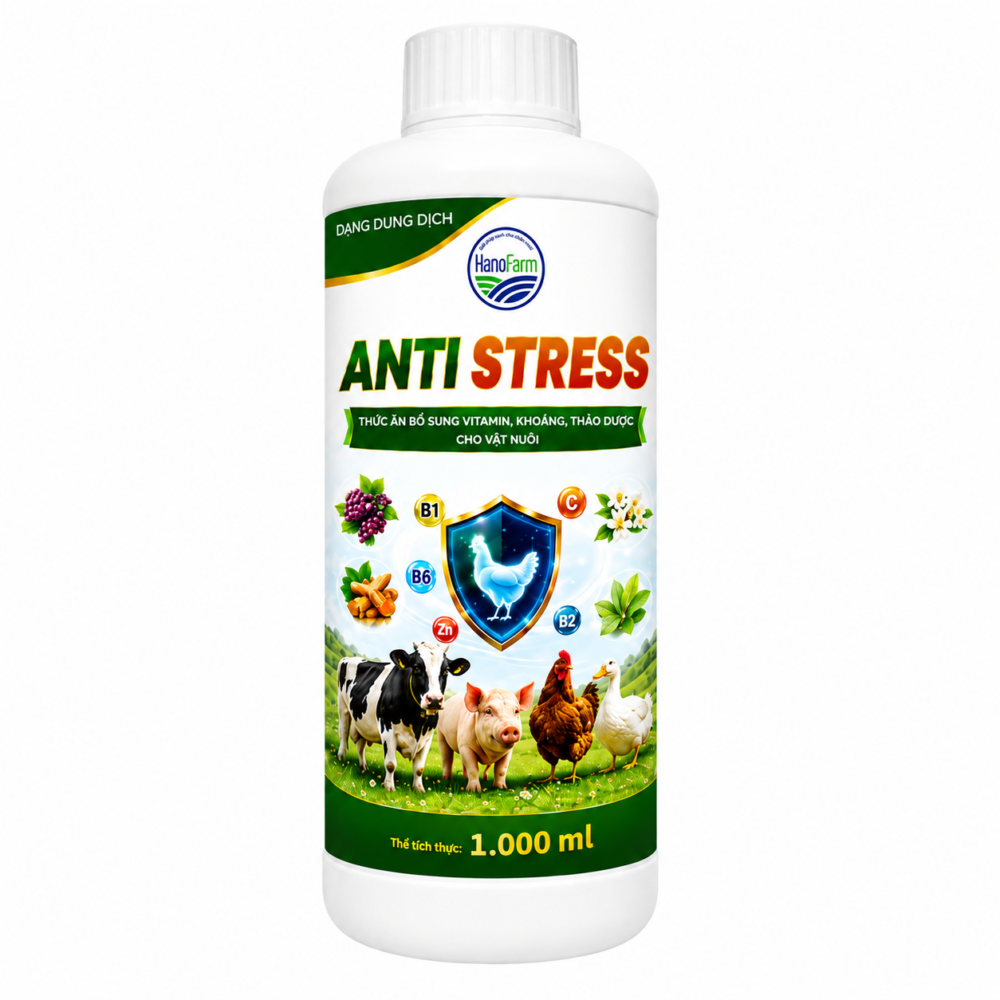 ANTI STRESS