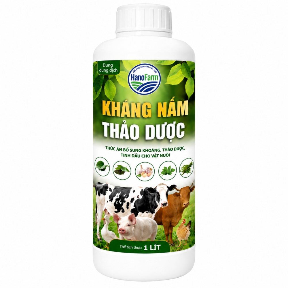 KHÁNG NẤM THẢO DƯỢC