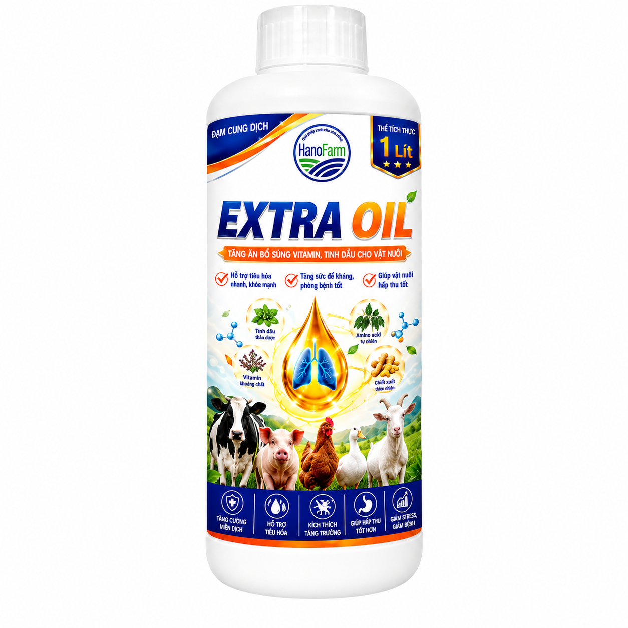 EXTRA OIL