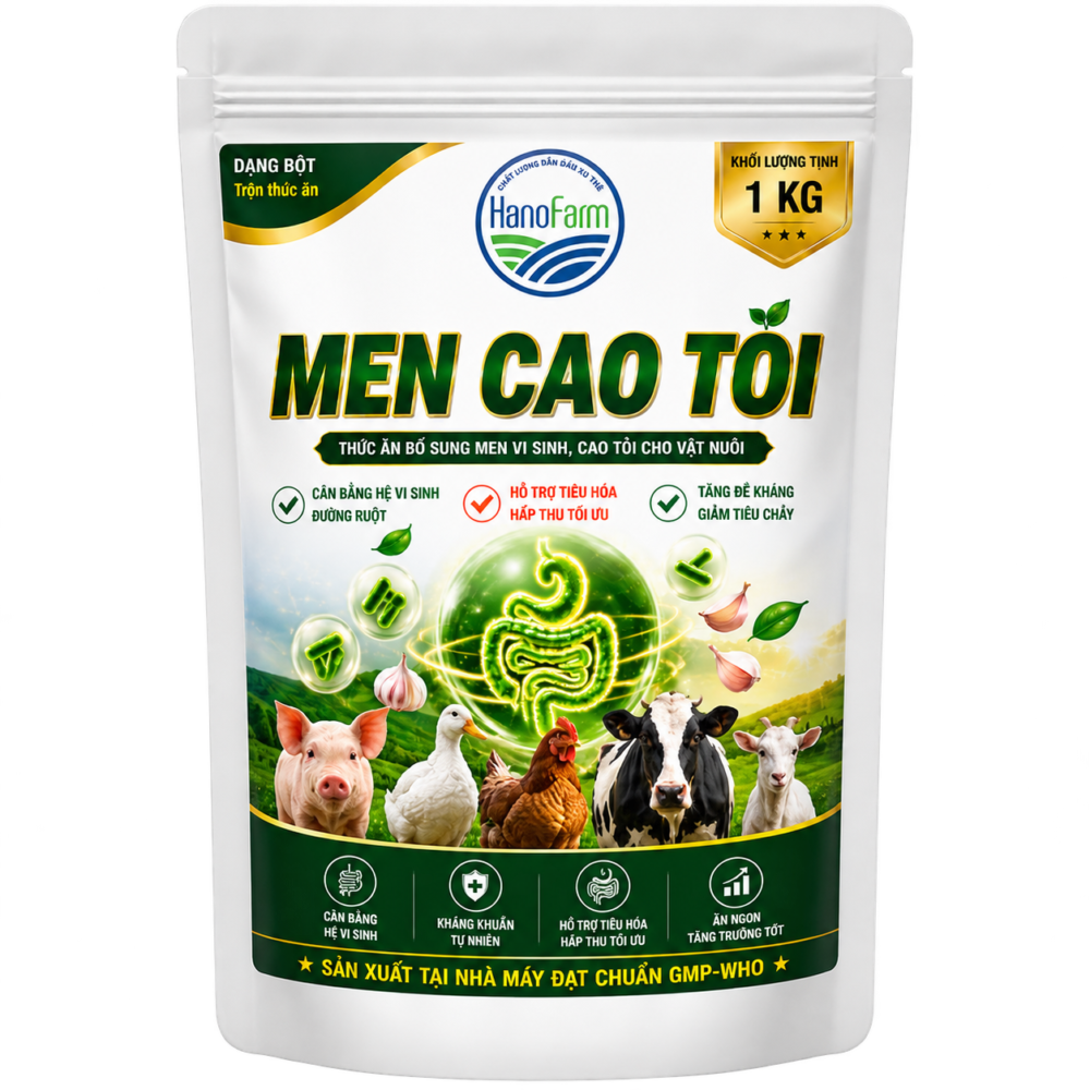 MEN CAO TỎI